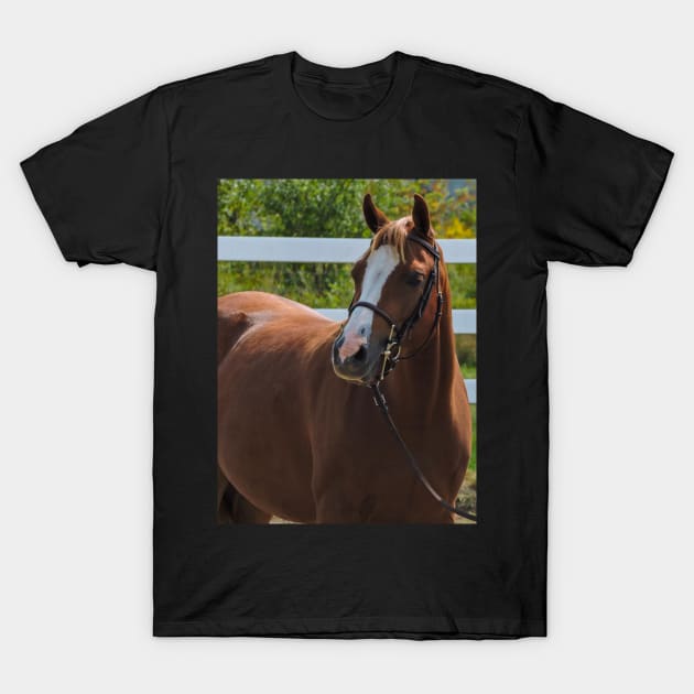 Horse show T-Shirt by theartsyeq